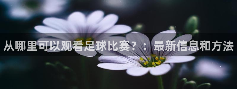 从哪里可以观看足球比赛？：最新信息和方法
