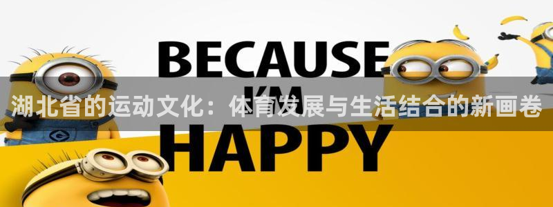 湖北省的运动文化：体育发展与生活结合的新画卷