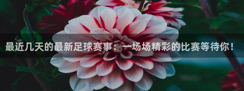 最近几天的最新足球赛事：一场场精彩的比赛等待你！