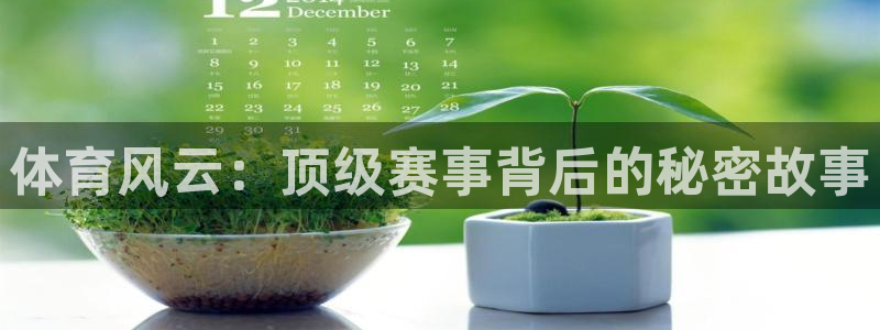 体育风云：顶级赛事背后的秘密故事