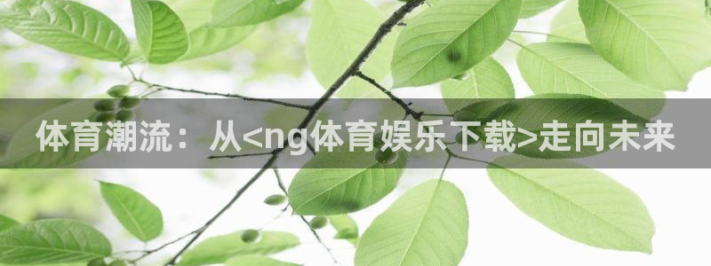 体育潮流：从<ng体育娱乐下载>走向未来