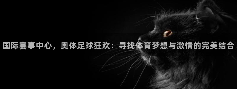 国际赛事中心，奥体足球狂欢：寻找体育梦想与激情的完美结合
