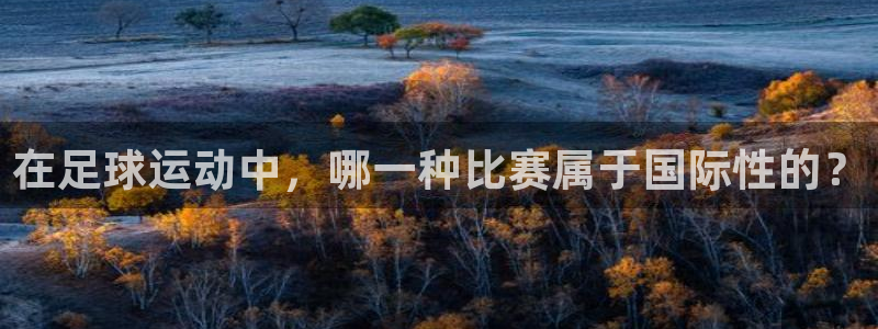 在足球运动中，哪一种比赛属于国际性的？