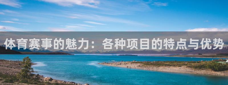 体育赛事的魅力：各种项目的特点与优势