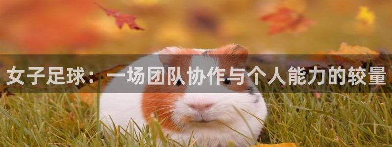 女子足球：一场团队协作与个人能力的较量