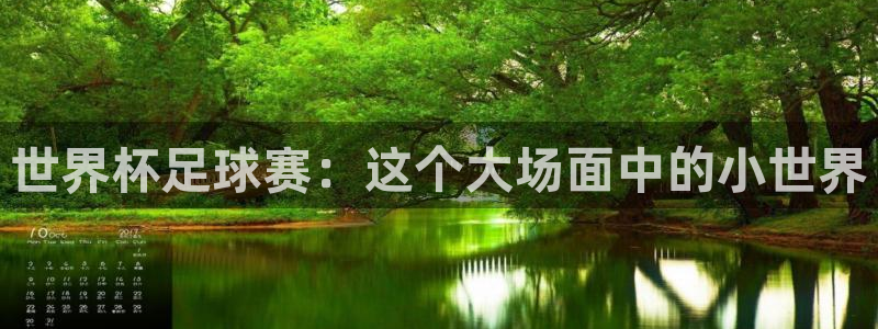 世界杯足球赛：这个大场面中的小世界
