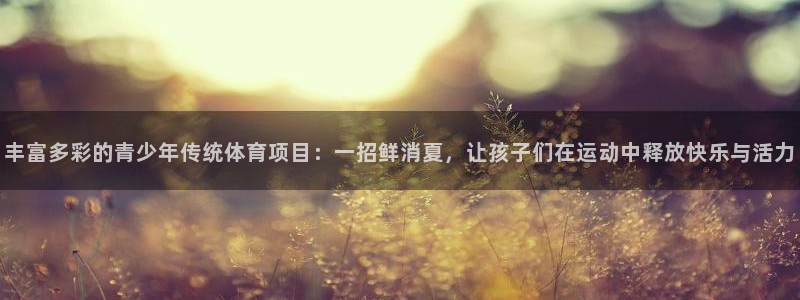 丰富多彩的青少年传统体育项目：一招鲜消夏，让孩子们在运动中释放快乐与活力