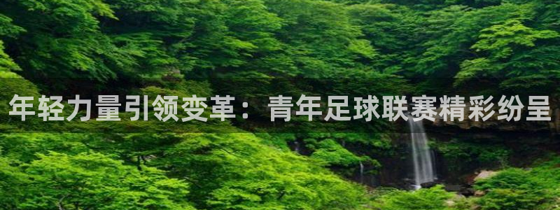 年轻力量引领变革：青年足球联赛精彩纷呈