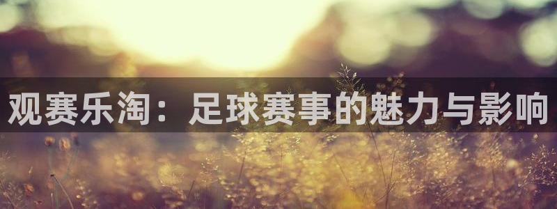 观赛乐淘：足球赛事的魅力与影响