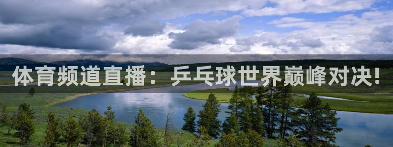 体育频道直播：乒乓球世界巅峰对决!