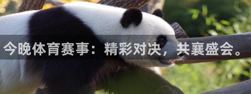 今晚体育赛事：精彩对决，共襄盛会。