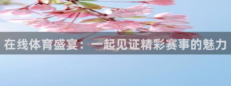 在线体育盛宴：一起见证精彩赛事的魅力
