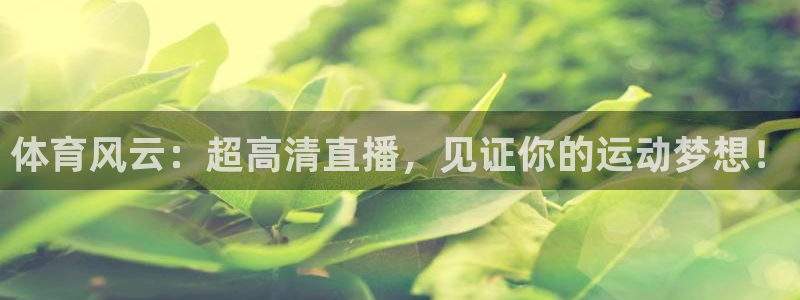 体育风云：超高清直播，见证你的运动梦想！
