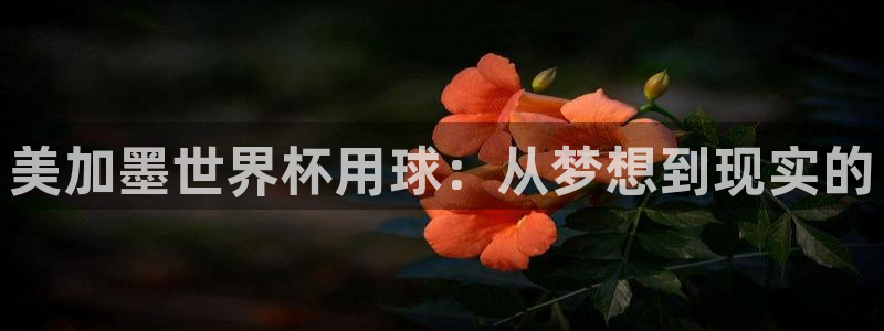 美加墨世界杯用球：从梦想到现实的
