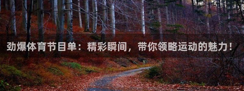 劲爆体育节目单：精彩瞬间，带你领略运动的魅力！
