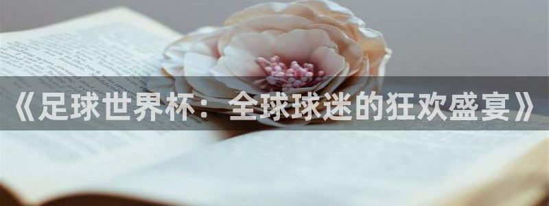 《足球世界杯：全球球迷的狂欢盛宴》