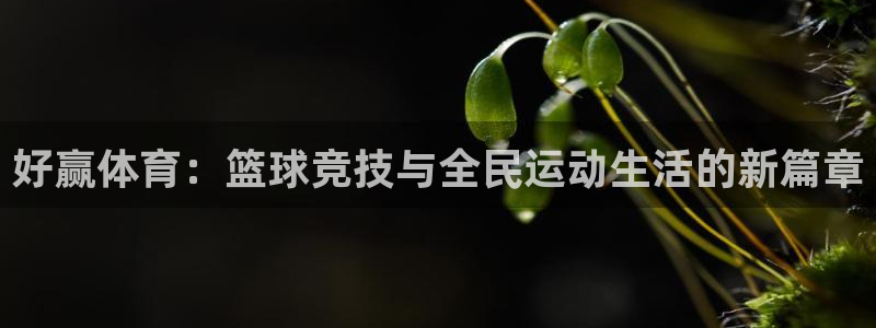 好赢体育：篮球竞技与全民运动生活的新篇章